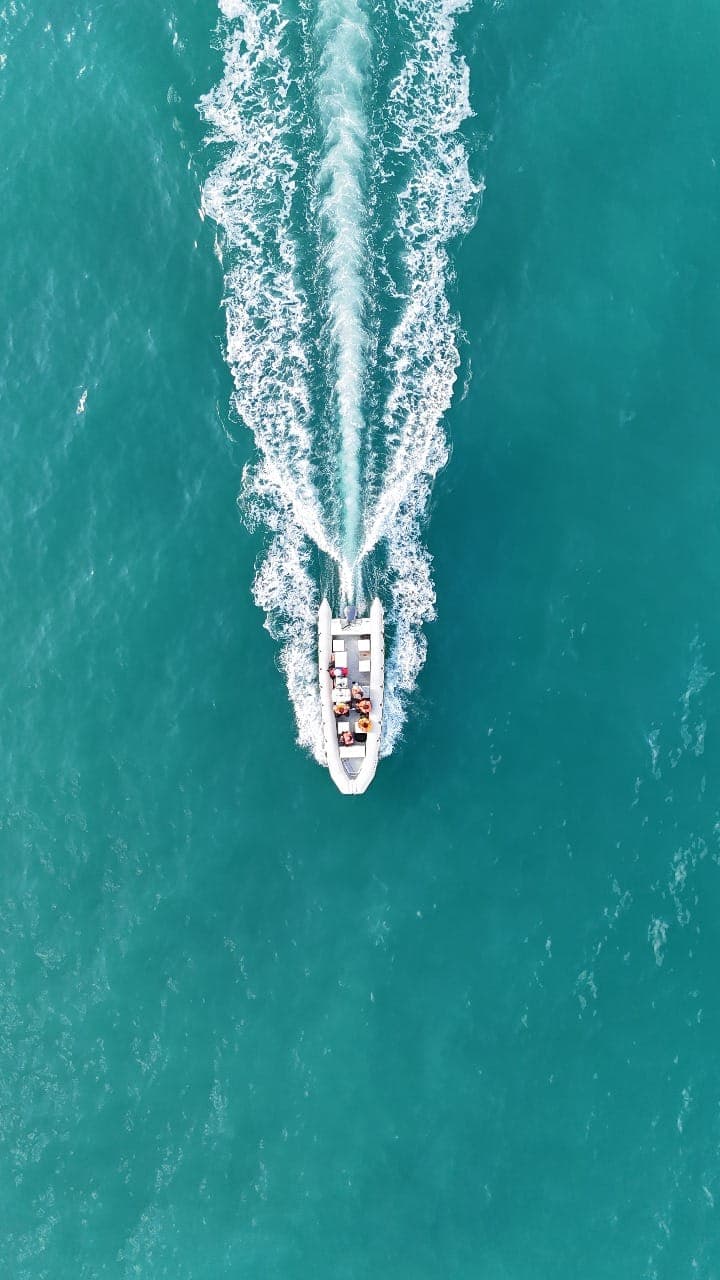 Portada de Paseos Naúticos